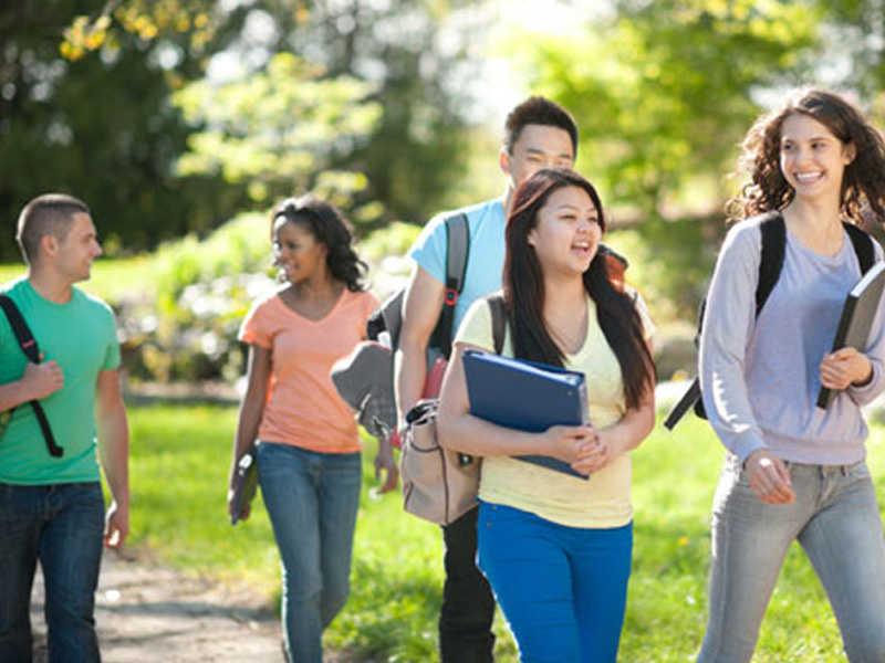 自动充值代理的短信轰机轰炸app下载